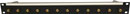 CANFORD BNC TERMINATION PANEL 1U, 1x12, 12G 4K, black, gold