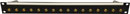 CANFORD BNC TERMINATION PANEL 1U, 1x16, 12G 4K, black, gold