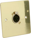 CANFORD CONNECTOR PLATE UK 1-gang, 1x XLR female, polished brass